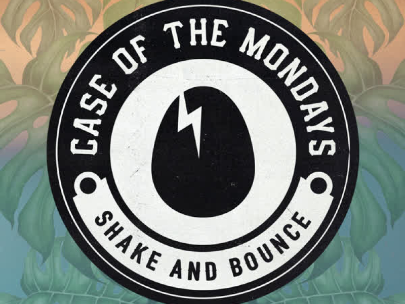 Shake & Bounce (Single)