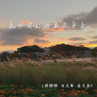 感谢有你陪在我身旁 (DJ阿卓版) (Single)