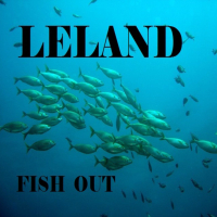 Fish Out (Single)