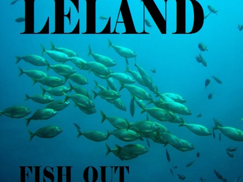 Fish Out (Single)