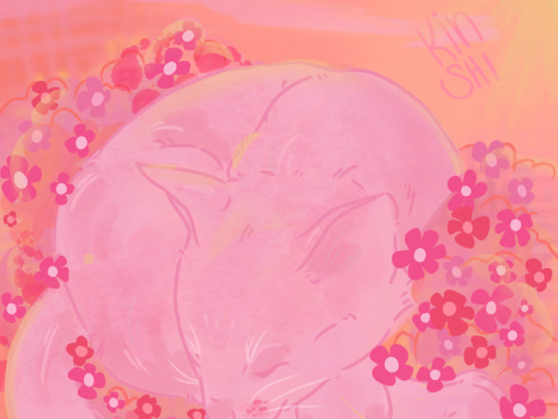 Gatos Fofos e Flores Coloridas (EP)