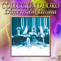 Coleccíon De Oro: A Bailar La Salsa Con Dimensíon Latina, Vol. 2