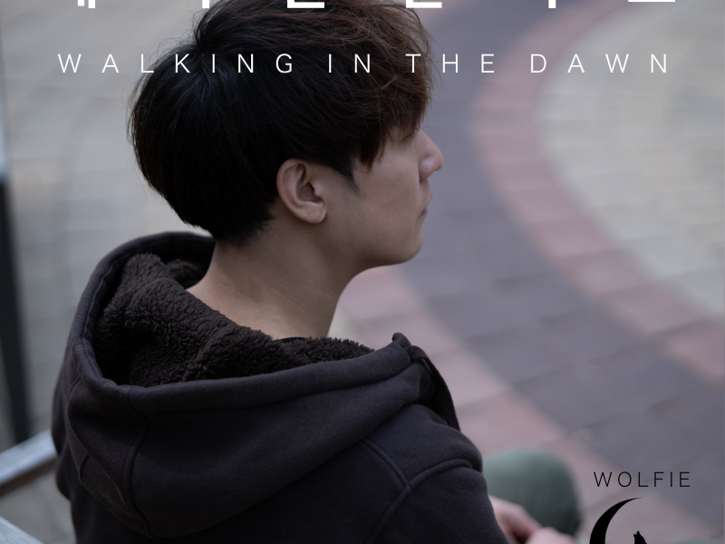 Walking in the dawn (EP)