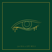 dreaming on applegrove (GRY Wolv Remix) (Single)