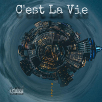 C'est La Vie (Single)
