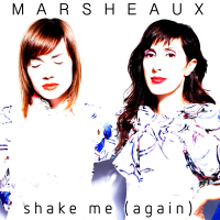Shake Me (again) (Single)