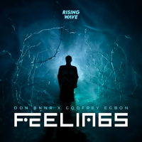 Feelings (Single)