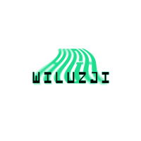 High W Iluzji (Single)