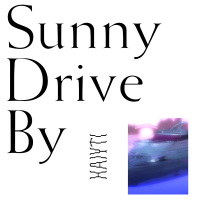 Sunny Driveby