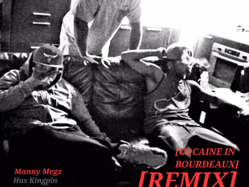 Victims of Vogue (Cocaine in Bourdeaux Remix) (Single)