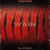 WAIN (Single)