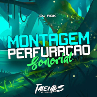 MONTAGEM PERFURAÇÃO SONORial (Single)
