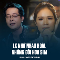 LK Nhớ Nhau Hoài, Những Đồi Hoa Sim (Single)