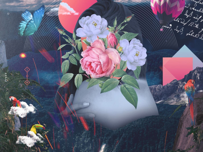 Don't Stop (Wiggle Wiggle) (Single)