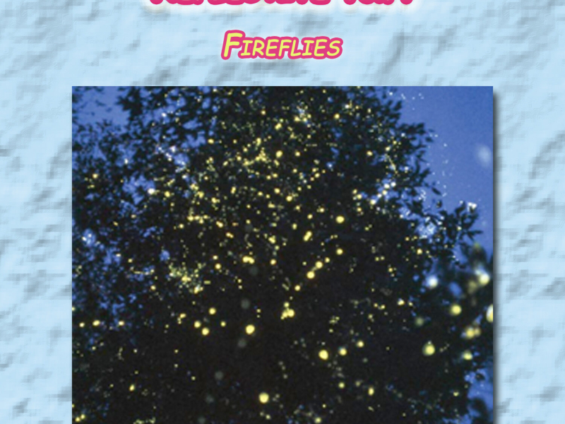 Reflective Vol. 7: Fireflies