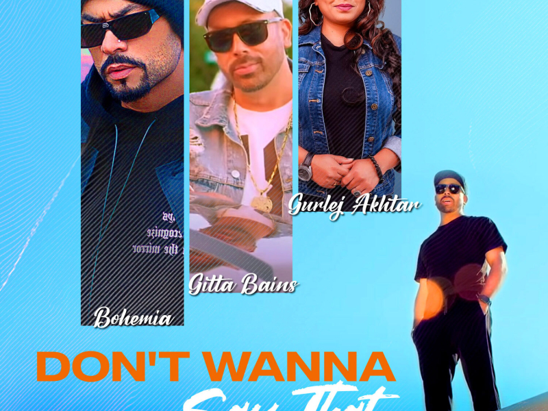 I Don't Wanna Say That (Single)