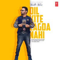 Dil Kite Lagda Nahi (Single)