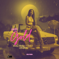 Pass Gold (Sped Up Version) (Single)