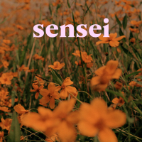 Sensei (Single)