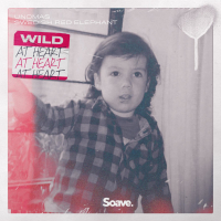 Wild At Heart (Single)