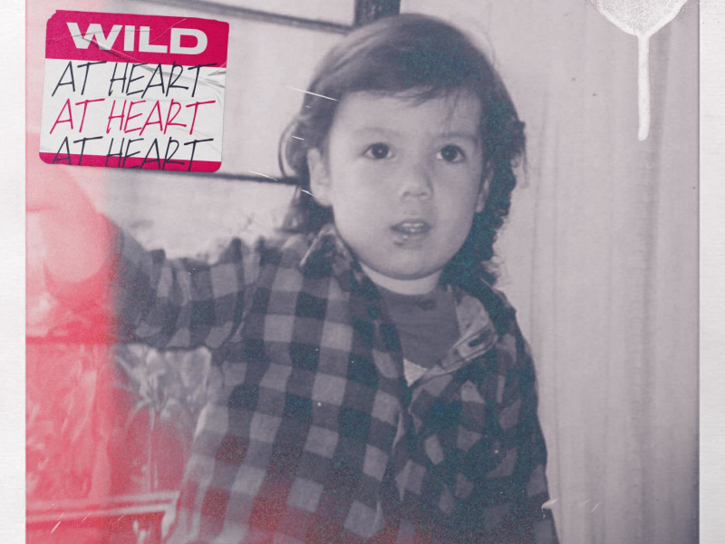 Wild At Heart (Single)