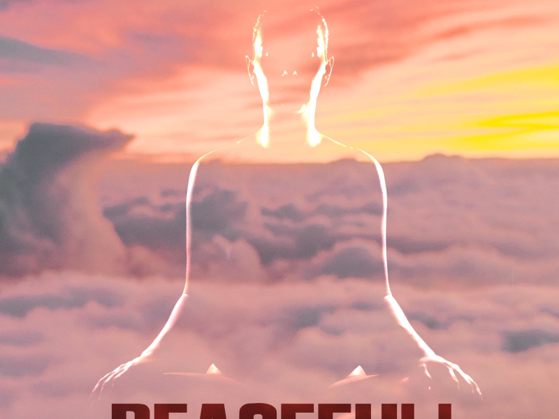 Metaverse Meditation (Single)