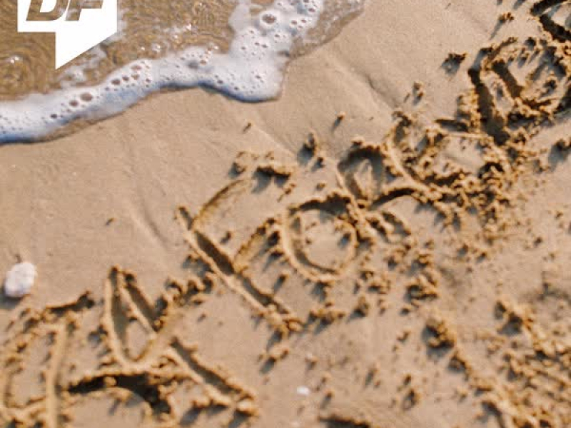 Dingo X DAMOIM (Part 1) (Single)