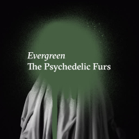 Evergreen (Single)