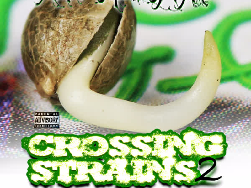 Crossing Strains 2: The Germination Process