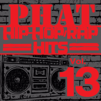 Phat Hip-Hop/Rap Hits, Vol. 13