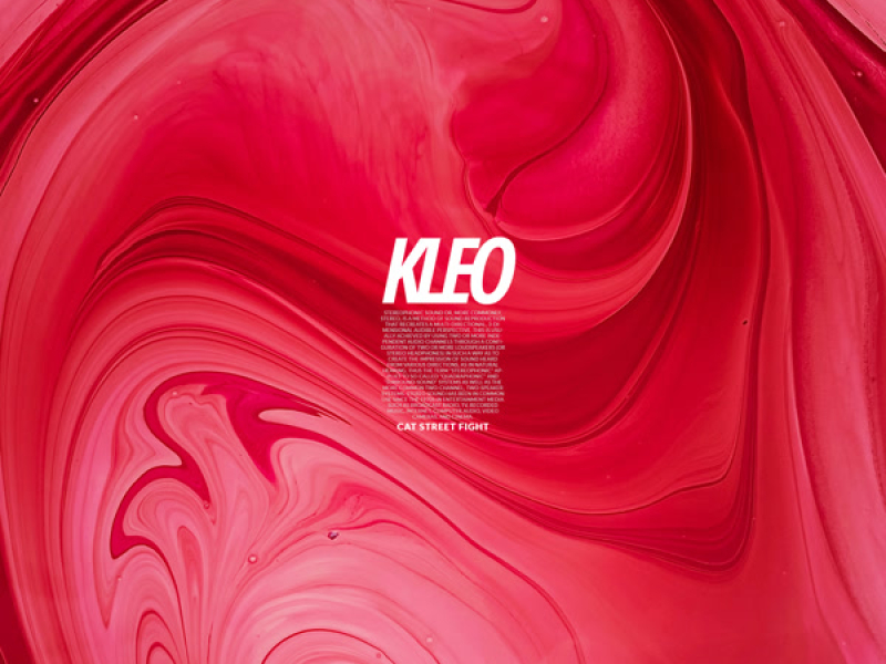 Cat Street Fight (Single)