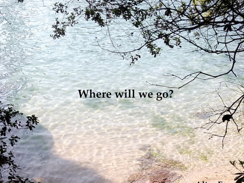 Where will we go? (Single)