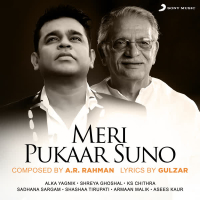 Meri Pukaar Suno (Single)