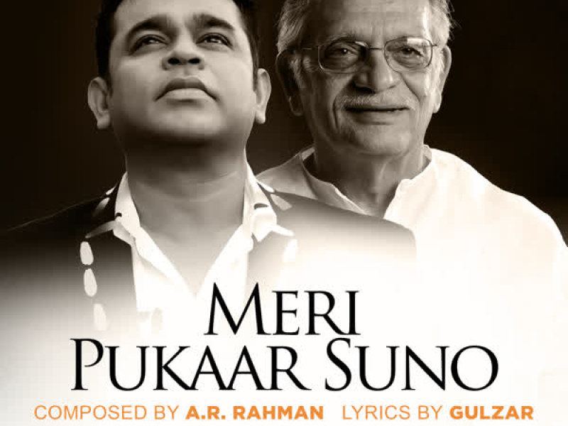 Meri Pukaar Suno (Single)