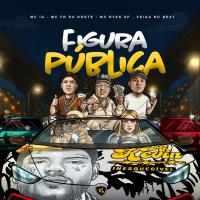 Figura Pública (Single)