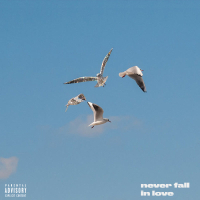 Never Fall In Love (Single)