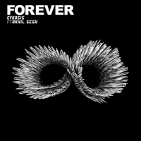 Forever (feat. Akhil Sesh) (Single)
