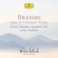 Brahms: 6. Ein kleiner, hübscher Vogel nahm den Flug [Liebeslieder-Walzer, Op.52 - Verses From 