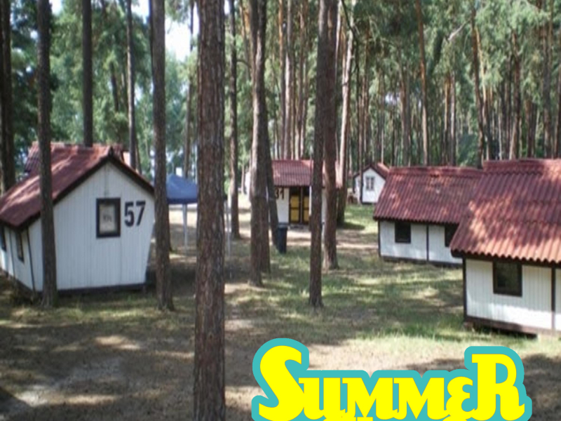 Kolonia specjalna (Single)