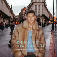 Dòng Đời Chia Hai Lối (Single)