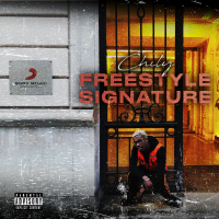 Freestyle signature