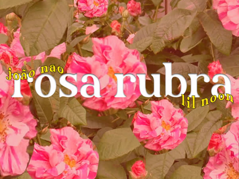 Rosa Rubra (Single)