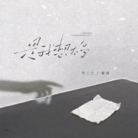 是我想太多 (Single)