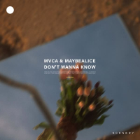 Don't Wanna Know (Single)