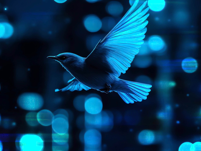 Mockingbird (Single)