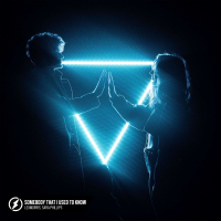 Somebody That I Used To Know (Slowed) (Single)