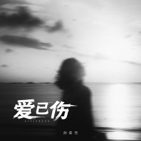 爱已伤 (DJ默涵版) (Single)