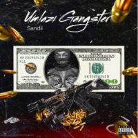 Umlazi Gangster_Sandii (Radio Edit) (Single)