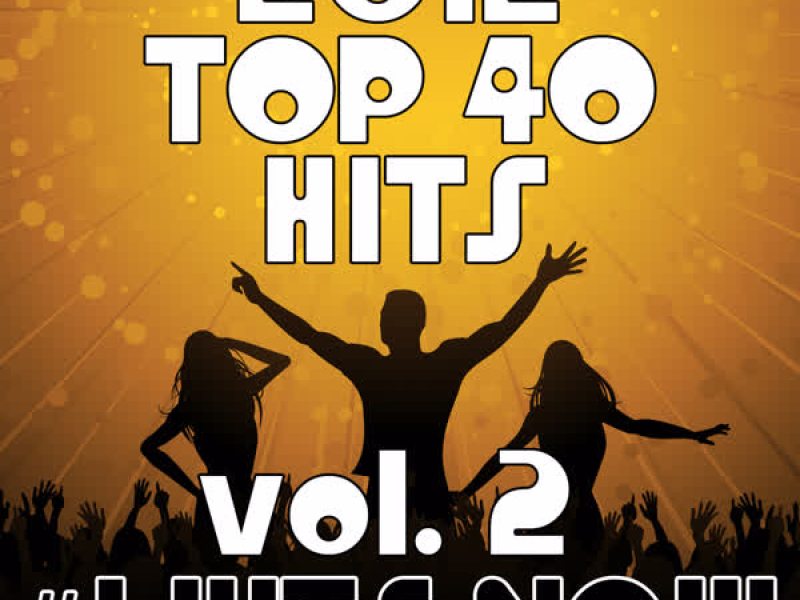 2012 Top 40 Hits, Vol. 2