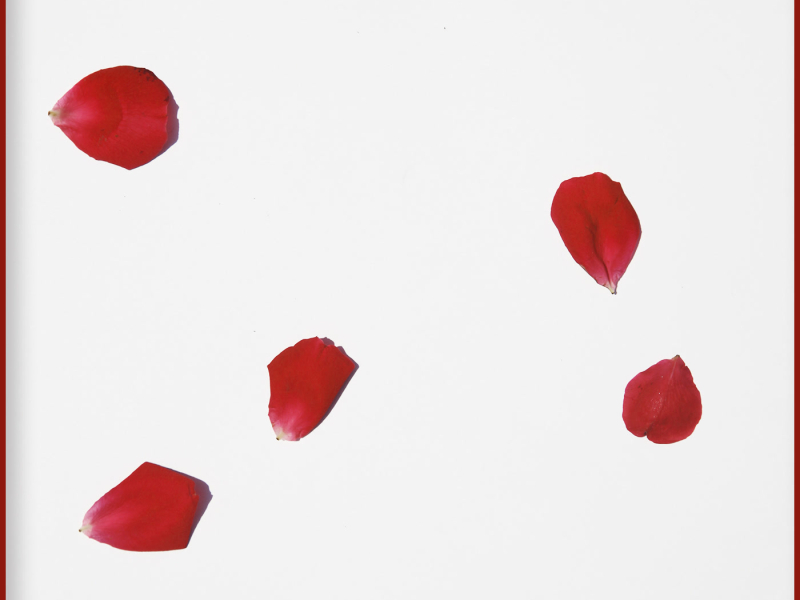 마지막 춤은 그대와 함께 (Single)